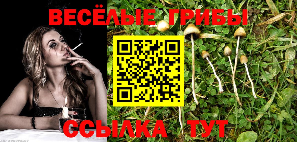 как найти наркотики  Вход с VPN  Крымск  Псилоцибиновые грибы ЛСД 